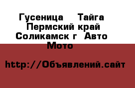 Гусеница 60 Тайга - Пермский край, Соликамск г. Авто » Мото   